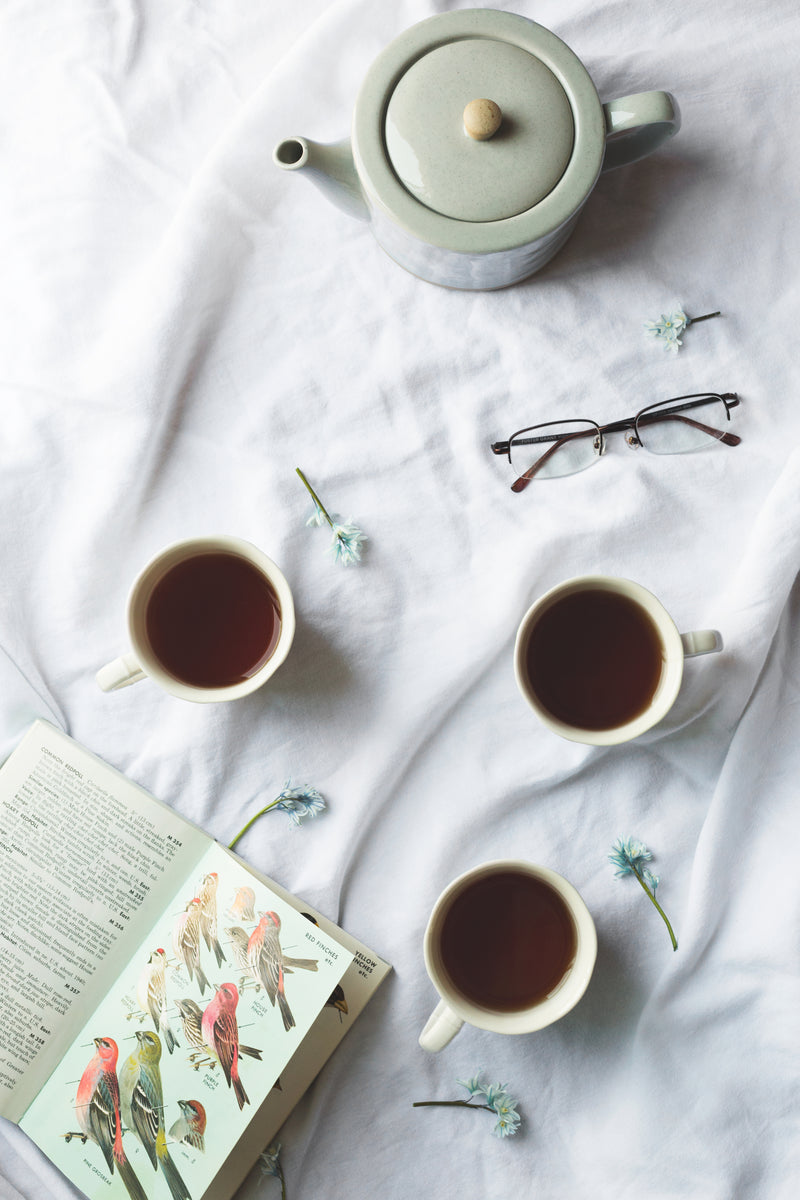 La lecture qui accompagne la vie